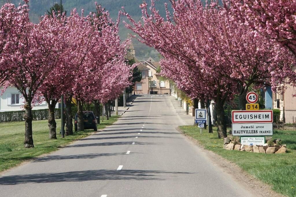 Gite A Eguisheim Proche De Colmar Et Kaysergberg. Exteriör bild