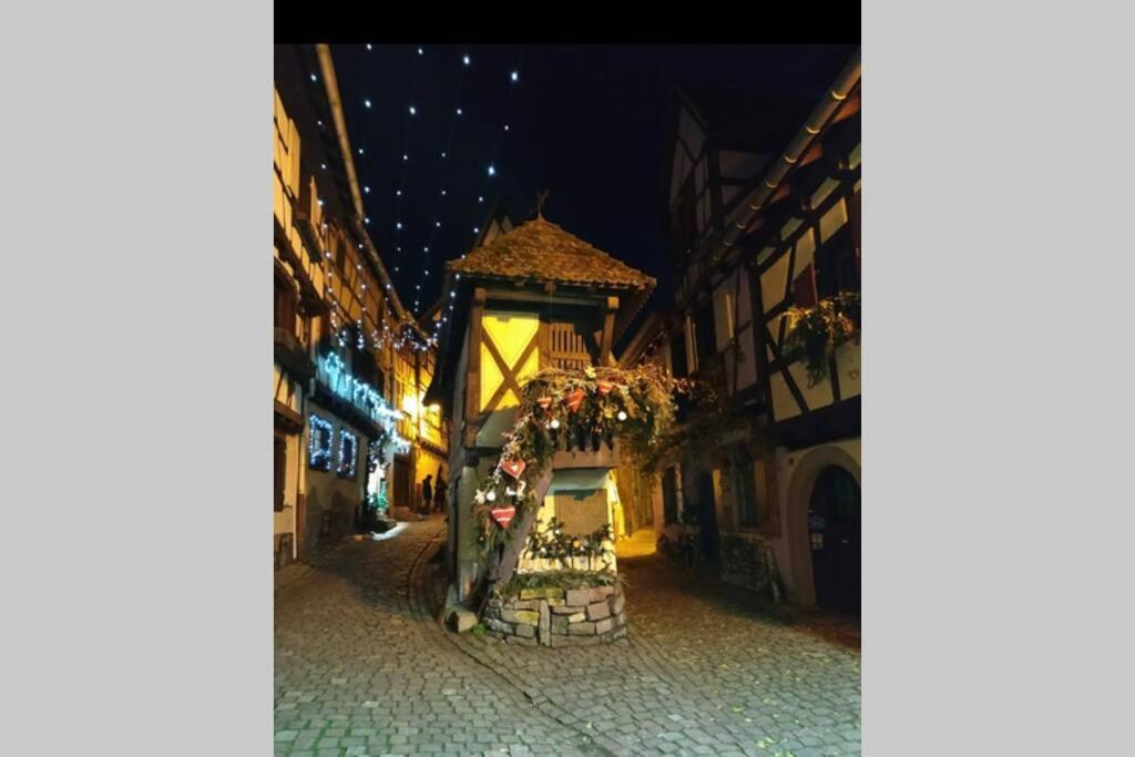Gite A Eguisheim Proche De Colmar Et Kaysergberg. Exteriör bild