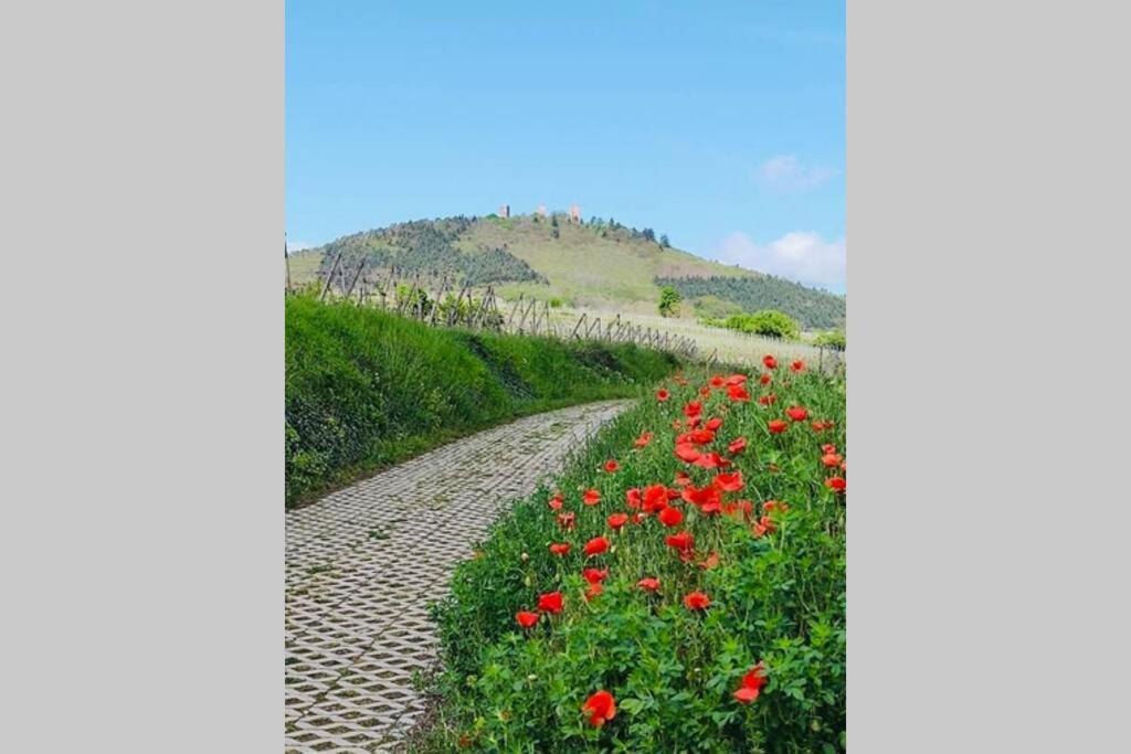 Gite A Eguisheim Proche De Colmar Et Kaysergberg. Exteriör bild