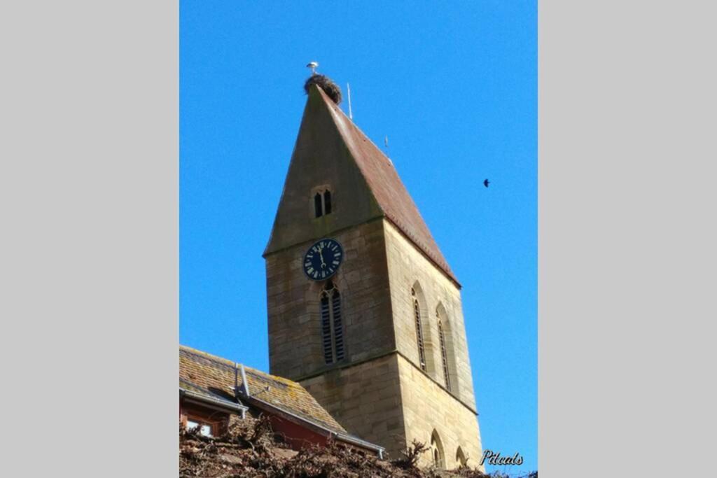 Gite A Eguisheim Proche De Colmar Et Kaysergberg. Exteriör bild