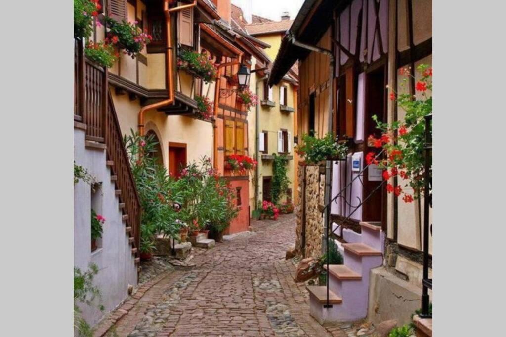 Gite A Eguisheim Proche De Colmar Et Kaysergberg. Exteriör bild