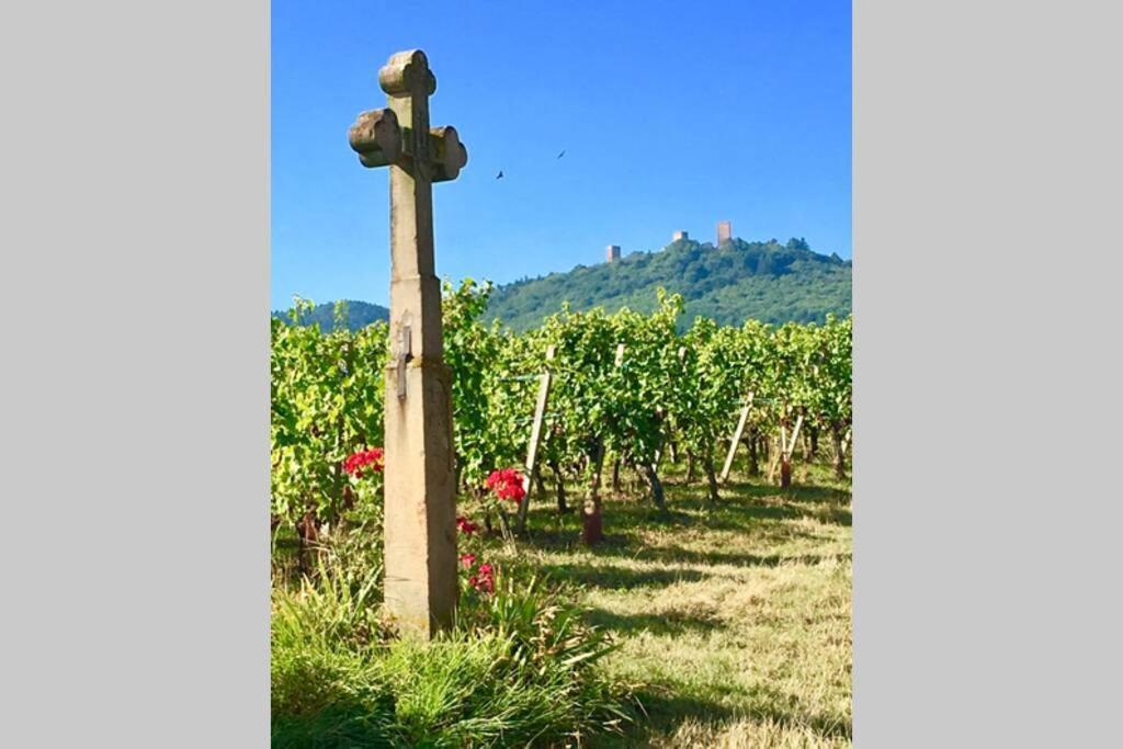 Gite A Eguisheim Proche De Colmar Et Kaysergberg. Exteriör bild