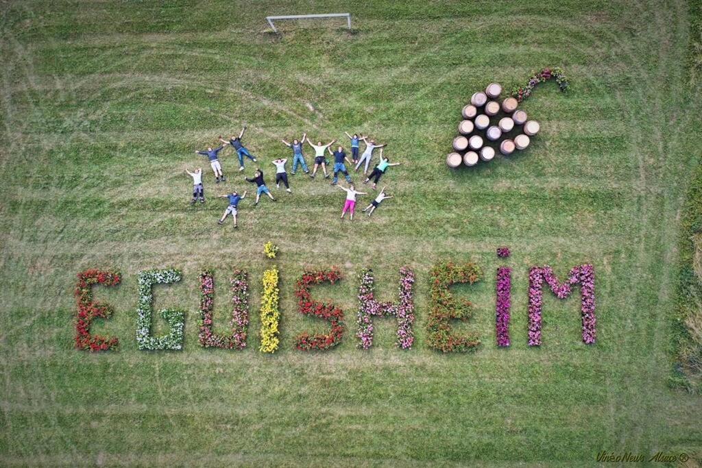 Gite A Eguisheim Proche De Colmar Et Kaysergberg. Exteriör bild