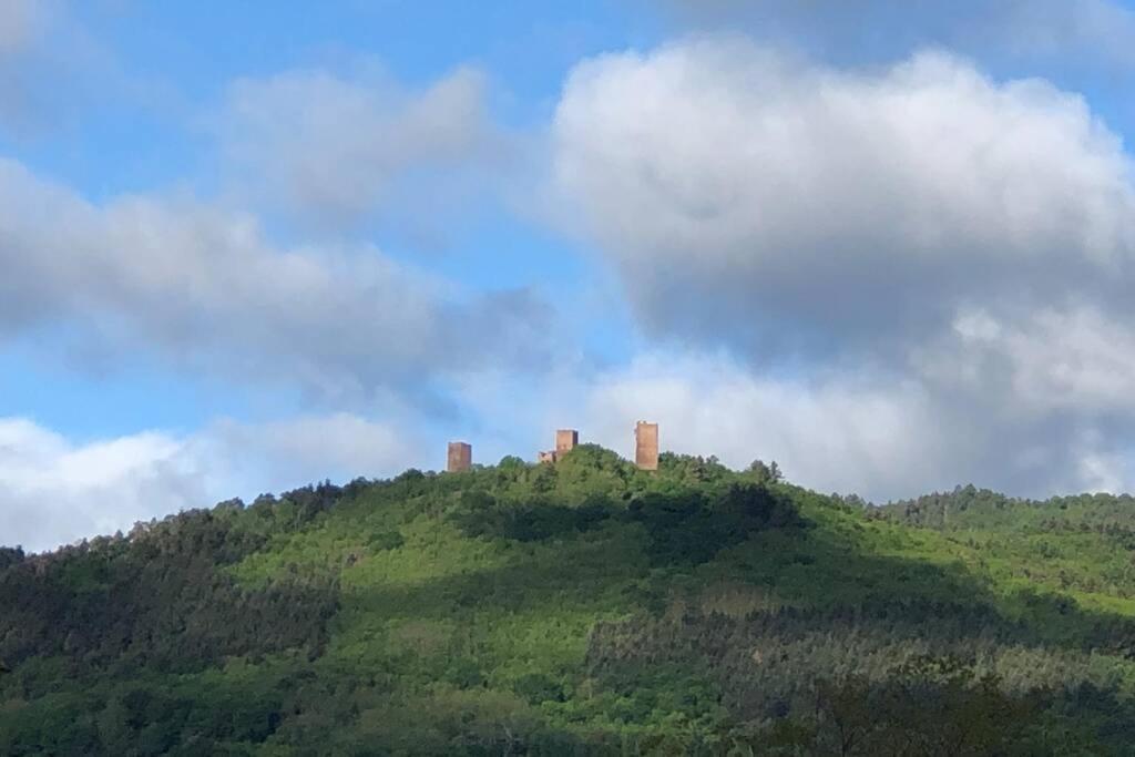 Gite A Eguisheim Proche De Colmar Et Kaysergberg. Exteriör bild