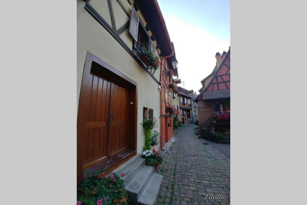 Gite A Eguisheim Proche De Colmar Et Kaysergberg. Exteriör bild