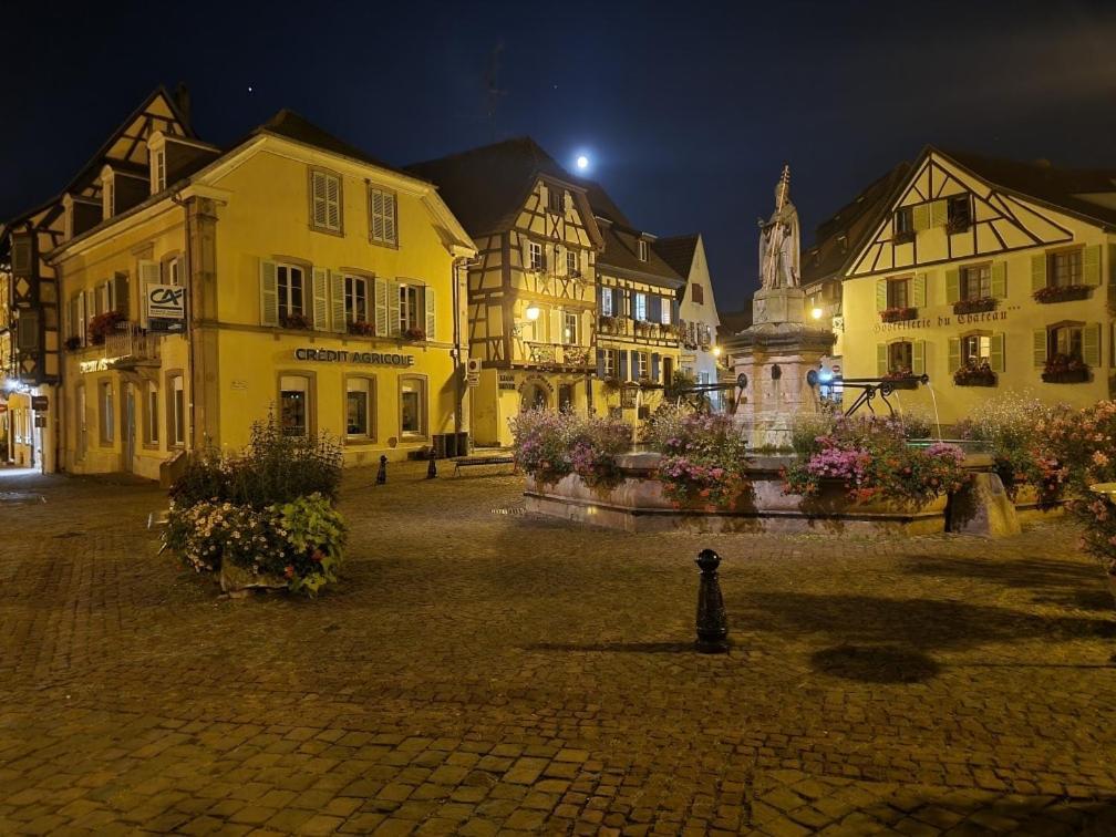 Gite A Eguisheim Proche De Colmar Et Kaysergberg. Exteriör bild
